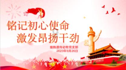 逃离昏暗下的小村